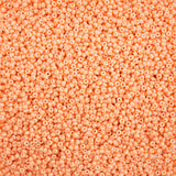 11/0 Miyuki Seed Beads #4461 Duracoat Tea Rose 22g