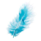 Plumes de Marabout Vrac Turquoise 20g