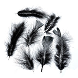 Plumes de Marabout Noir 6g