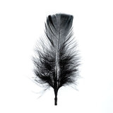 Plumes de Marabout Noir 6g