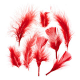 Plumes de Marabout Rouge 6g