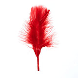 Plumes de Marabout Rouge 6g