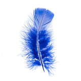 Plumes de Marabout Bleu Royal 6g