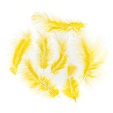 Plumes de Marabout Jaune 6g