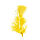 Plumes de Marabout Jaune 6g