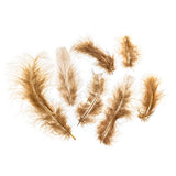 Plumes de Marabout Marron 6g