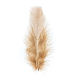 Plumes de Marabout Marron 6g