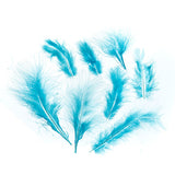 Plumes de Marabout Turquoise 6g