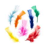 Plumes de Marabout Multi Mix 6g