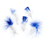 Plumes de Marabout Deux Tons Bleu Royal 6g