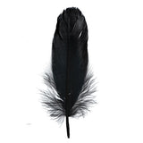 Goose Feathers Black 6g
