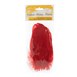 Plumes d'Oie Rouge 6g