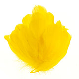 Plumes d'Oie Jaune 6g