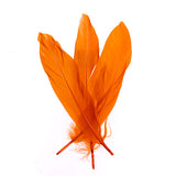 Plumes d'Oie Orange 6g