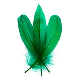 Goose Feathers Green 6g