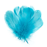 Plumes d'Oie Turquoise 6g