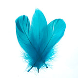 Plumes d'Oie Turquoise 6g