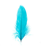 Plumes d'Oie Turquoise 6g