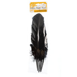 Plumes de Dinde Noir 6/pk