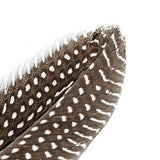 Guinea Fowl Quills 6-9" Natural 10/pk