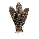 Guinea Fowl Quills 6-9" Natural 10/pk