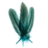 Guinea Fowl Quills 6-9" Turquoise 10/pk