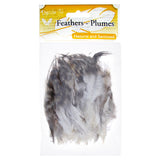 Plumes de Selle Coq Chinchilla Naturelles 3g