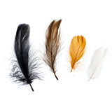Plumes Plume Naturelle Mixte 20g