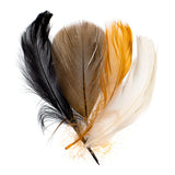 Plumes Plume Naturelle Mixte 20g