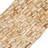 Bone Painted Tube Beads 0.5" Light Brown 16/Strand