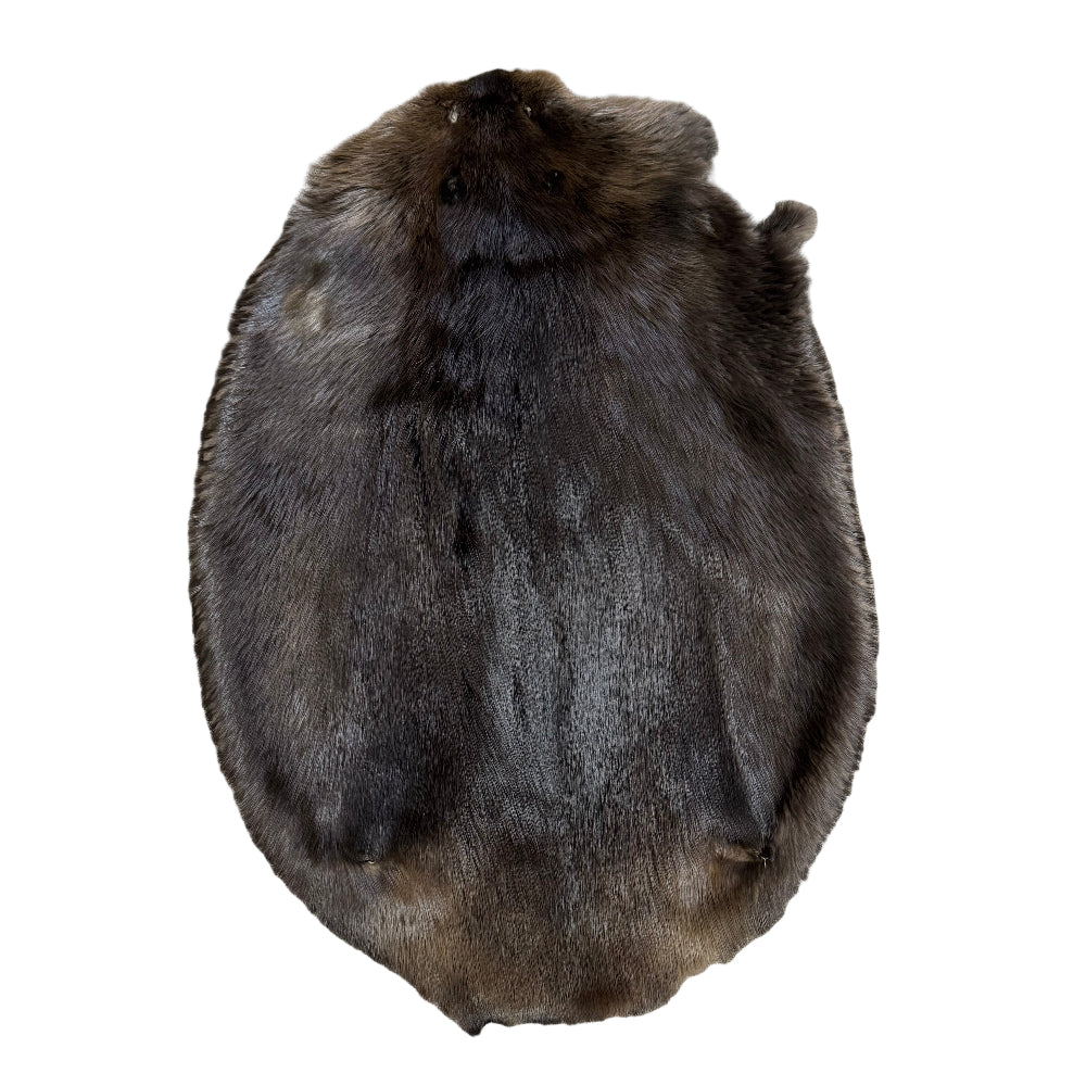 Beaver Fur Pelt
