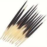 Natural African Porcupine Quills 10/pk