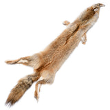 Coyote Fur Pelt