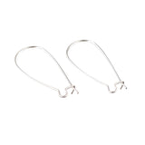 Silver Kidney Hook Earrings 100/pk