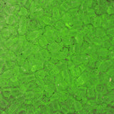 11/0 Perles de Rocailles Toho #2710 Cristal Jaune / Flacon Vert Vif 8-9g