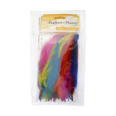 Goose Feathers Multi Mix 6g