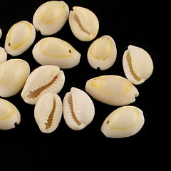 Drilled Cowrie Shells 10/pk