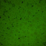 4mm Ronde Lueur Dans Le Noir Perles En Plastique 1000/pk