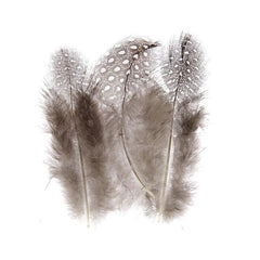 Guinea Fowl Feathers Natural 3g