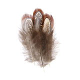 Pheasant Feathers Natural 3g