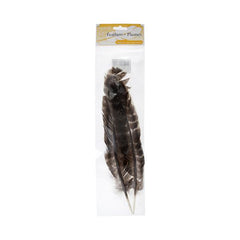 Turkey Feathers Barred Natural 2/pk