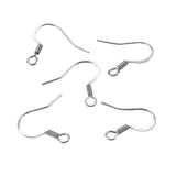 Stainless Steel Fish Hook Earrings 10/pk