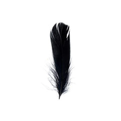Goose Feathers Black 6g