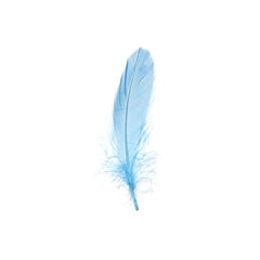 Goose Feathers Turquoise 6g