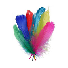 Goose Feathers Multi Mix 6g