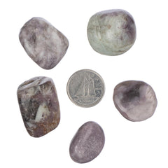 Lepidolite Tumbled Stone - Each