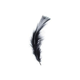 Plumes de Marabout Noir 6g