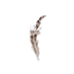 Rooster Chinchilla Saddle Feathers Natural 3g