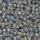 11/0 perles de rocaille Toho # 176BF transparent arc-en-ciel givré gris flacon de 8-9 g