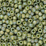 11/0 Toho Rocailles #2632F Semi Glazed Rainbow Honeydew 8-9g Flacon